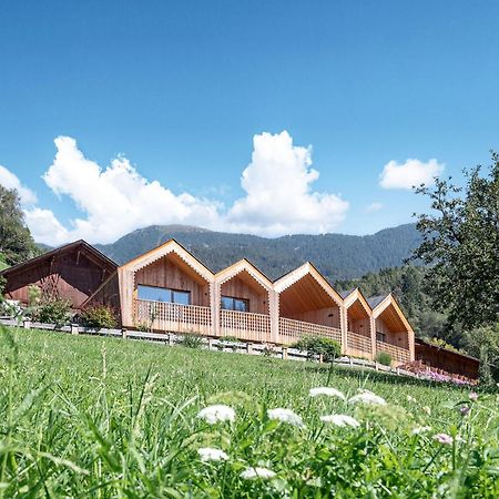 Niederthalerhof Chalets ブレッサノーネ エクステリア 写真
