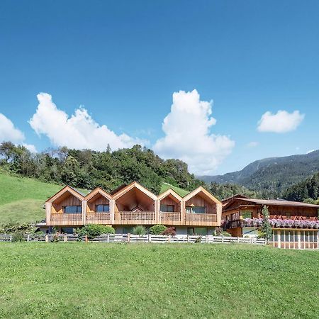 Niederthalerhof Chalets ブレッサノーネ エクステリア 写真