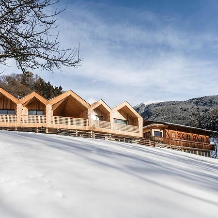 Niederthalerhof Chalets ブレッサノーネ エクステリア 写真