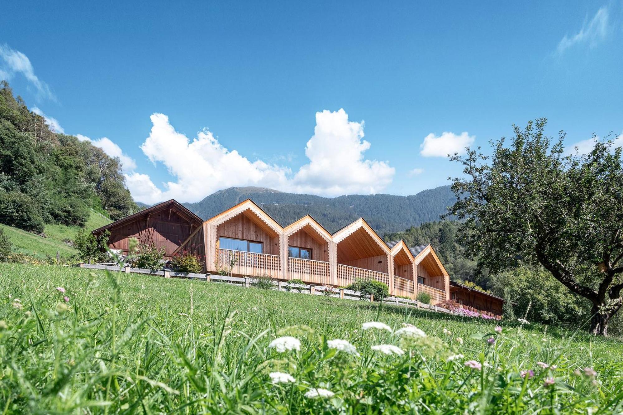 Niederthalerhof Chalets ブレッサノーネ エクステリア 写真