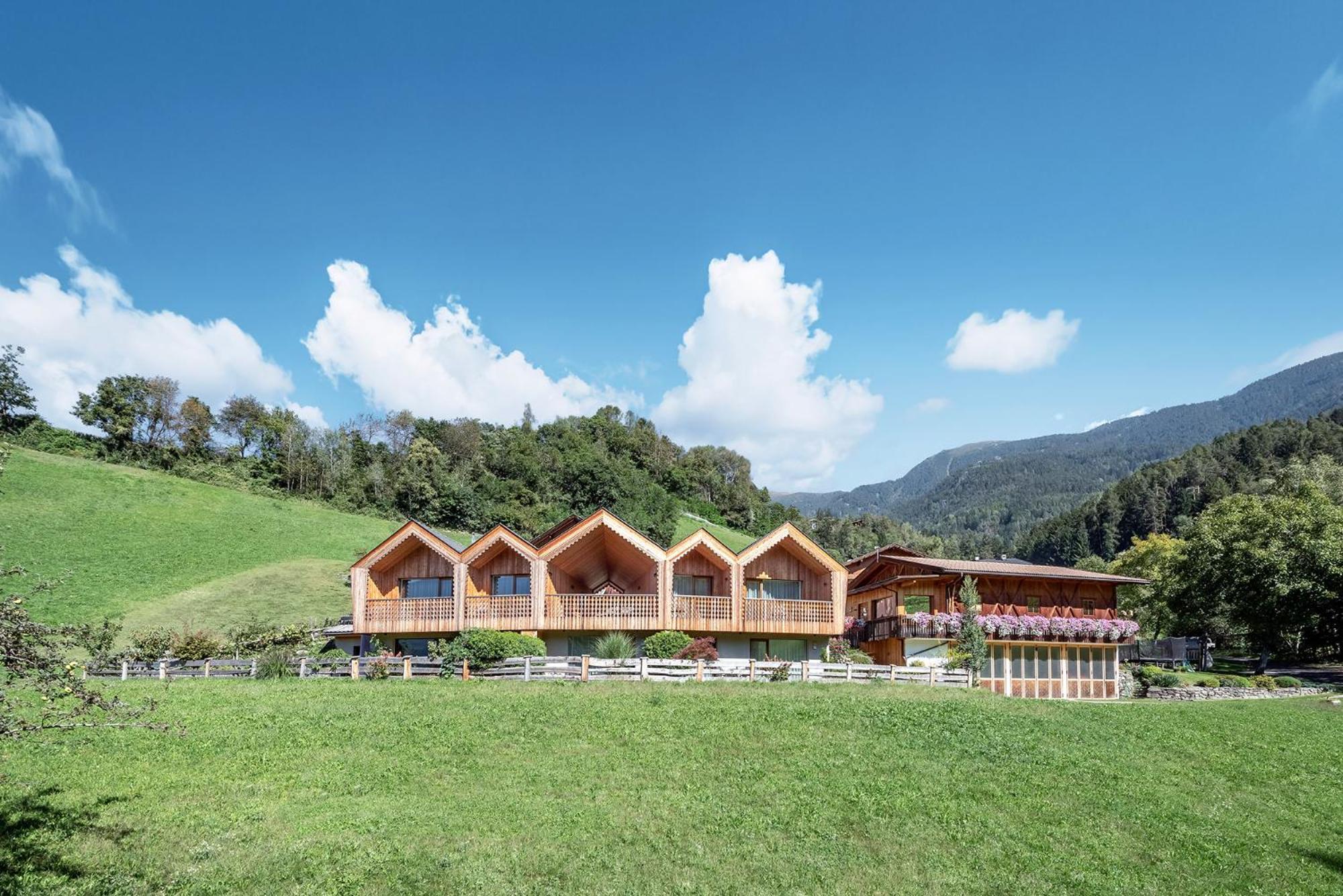 Niederthalerhof Chalets ブレッサノーネ エクステリア 写真