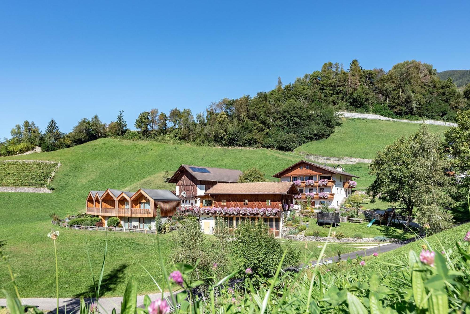 Niederthalerhof Chalets ブレッサノーネ エクステリア 写真