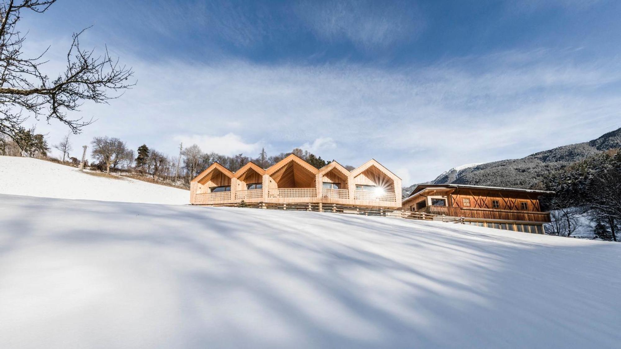 Niederthalerhof Chalets ブレッサノーネ エクステリア 写真